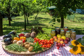  Colli Berici  Аркуньяно